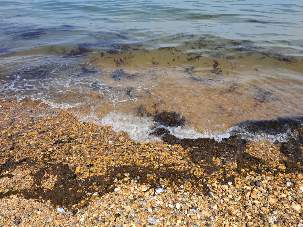 Various images around Whitstable